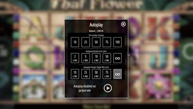 Thai Flower slot printscreen of Autoplay options